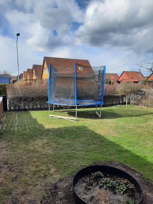 En trädgård med en studsmatta i bakgrunden och en planteringskärl i förgrunden, hus och himmel syns.