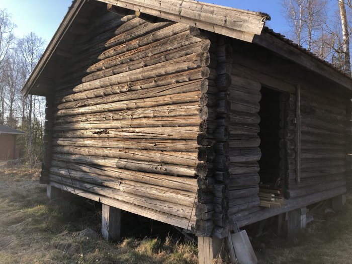 Oinredd gammal timmerstomme med synliga glipor mellan stockarna och upphöjd på stolpar.