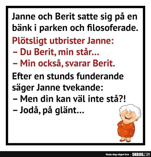 Bild av en skämtteckning med textdialog mellan Janne och Berit och en skrattande kvinna.