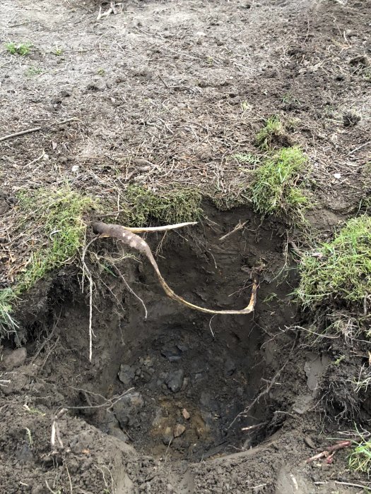 Grävt hål visar jordlager med mager matjord, svart lera och brun lera med sand.