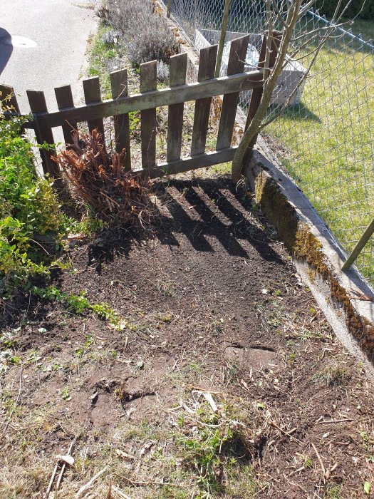 Nyligen beskurna buskar vid ett staket med utsikt mot grannens staket för insynsskydd.