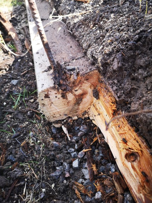 Skadad och murken stödmur som delvis är i bra skick bland jord och grus, med växtlighet som tränger igenom.