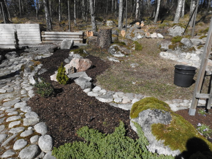 Trädgård efter trädfällning med stubbe, kvistar och en kompost i bakgrunden.