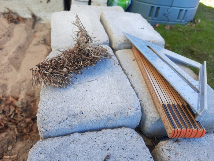 Övergivet igelkottskelett på en betongsten bredvid en mätsticka och tegelstenar.