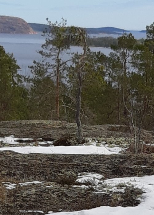 Utsikt över en sjö med träd och delvis snötäckt mark i förgrunden.