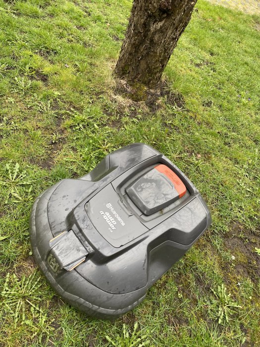 En robotgräsklippare i gräset bredvid ett träd efter rensning av löv.