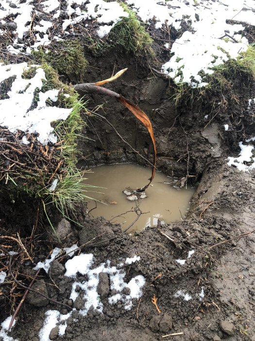 Grävd grop med vatten ansamlad, omringad av jord och snötäckt gräs, visar sänkning över tid.