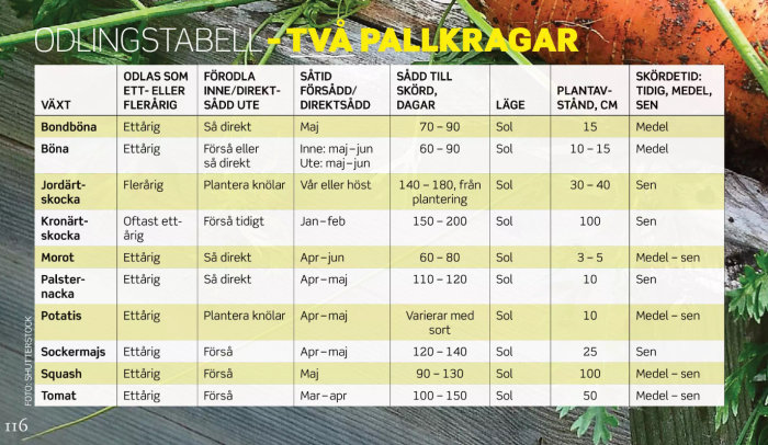 Odlingstabell för olika växter med information om såtid och skördeperiod för att odla i pallkrage.