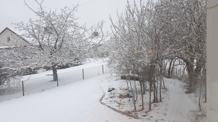 En snötäckt trädgård med träd, staket och en snöig stig som leder bort mot hus i bakgrunden.