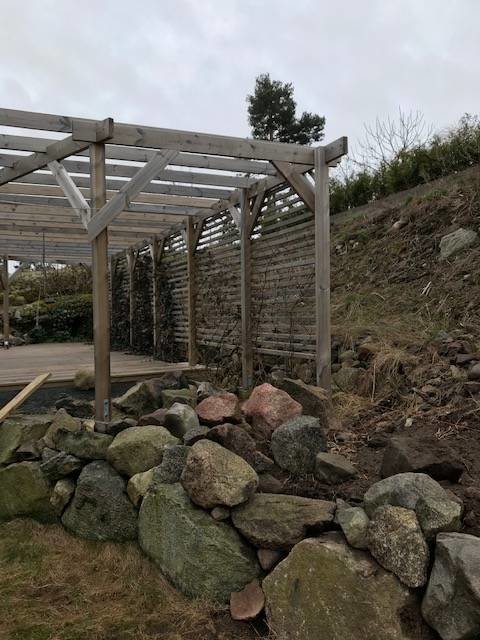 Pergola byggd vid slänt med stenar och ogräs, med staket och växande grönska i bakgrunden.