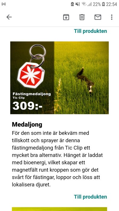 Nyckelring med röd fästingmedaljong på grönt gräsfält.