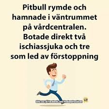 Illustration av en person som springer i panik med text om en pitbull som rymt och hamnat på en vårdcentral, botande folk.