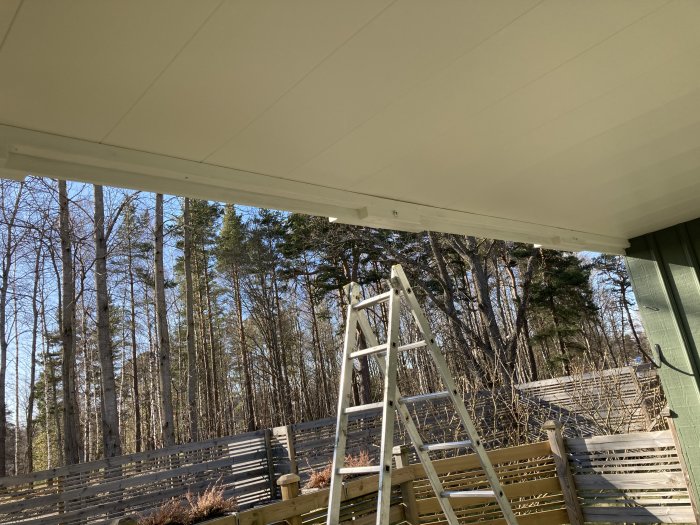 Utsikt från en altan under renovering med en stege uppställd mot det vita taket.