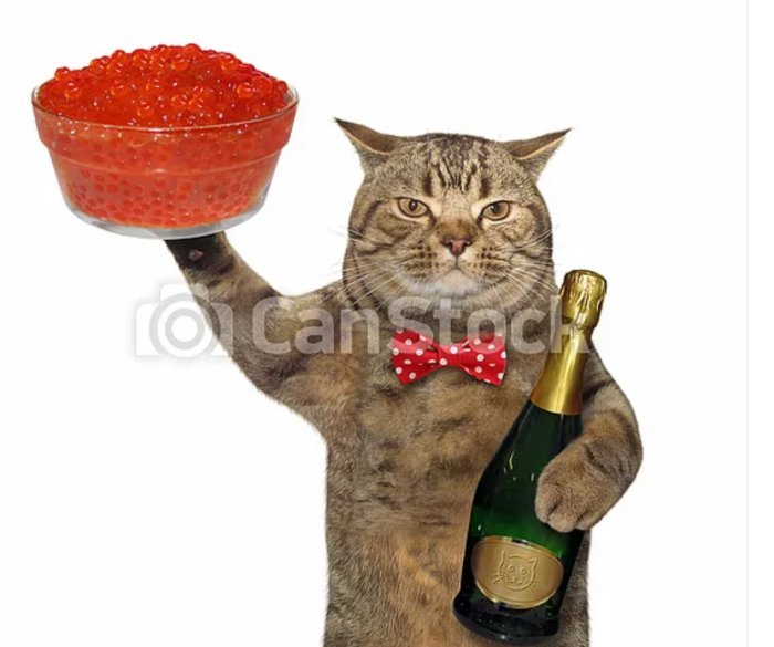 Katt iklädd rosett som håller i en skål med röd kaviar och en champagneflaska.