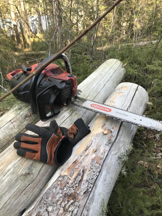 Motorsåg och arbetshandskar vilar på gammal avverkad trädstam i skogsmiljö.