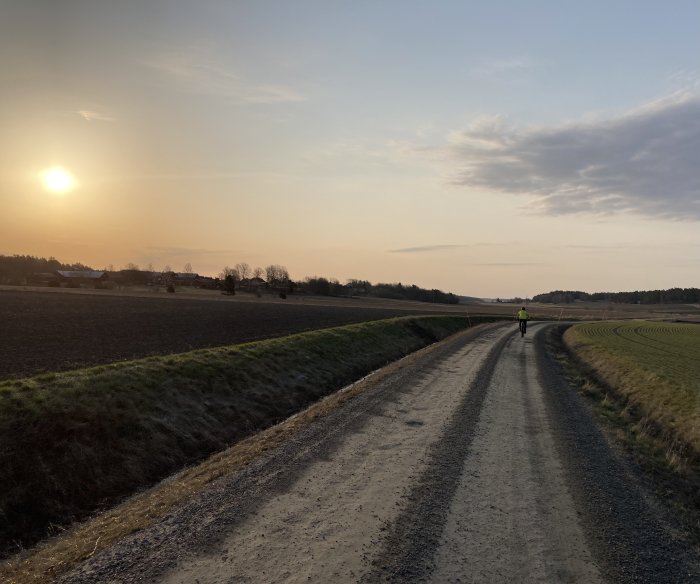 Grusväg genom åkrar vid solnedgång med en person i gult som promenerar i fjärran.