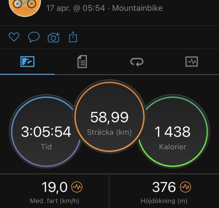 Skärmavbild av träningsdata med distans 58,99 km, tid 3:05:54, förbrukade 1438 kalorier, medelfart 19,0 km/h och höjdstigning 376 m.