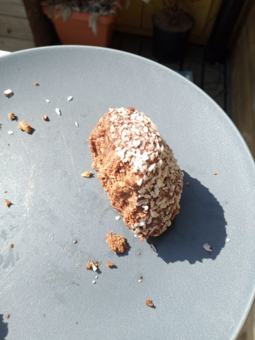 En chokladboll täckt med kokos på en grå tallrik i solljus.