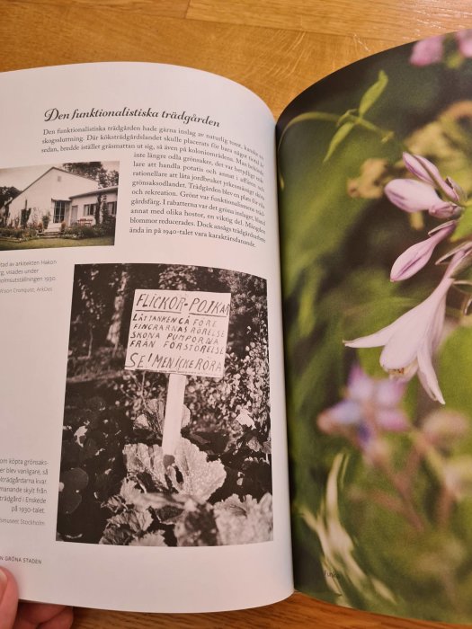 Uppslagen sida i bok om stadsodling med text och svartvit bild på plantskylt bland grönsaker.