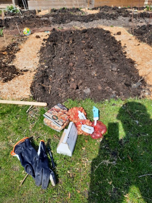 Trädgårdsland med nysatt lök och potatis, trädgårdshandskar och redskap i förgrunden.