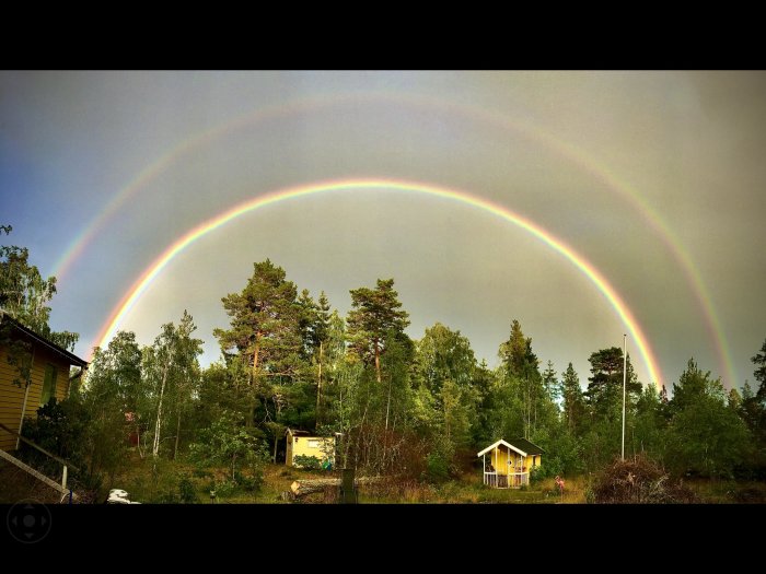 Dubbel regnbåge över en skogstomt med träd och småhus.