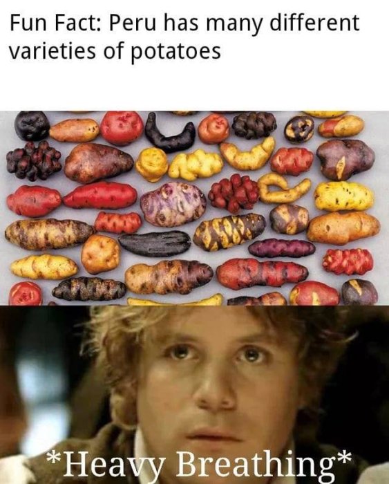 Olika sorter av potatis från Peru ovanför en bild av en karaktär som ser imponerad ut.