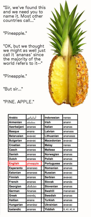 Humoristisk bild med en ananas och en dialog om namngivning, omgiven av en tabell som jämför ordet för ananas i olika språk.