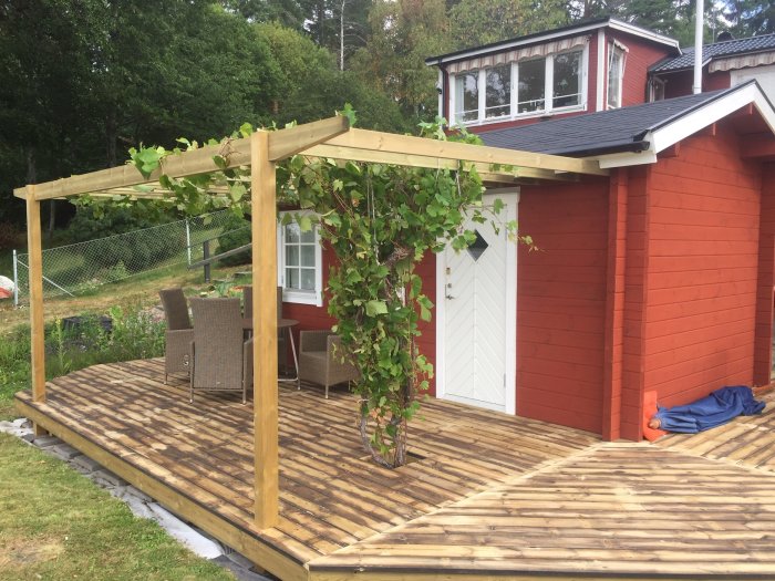 Nybyggd altan av återanvänt trä med pergola bredvid rött hus och gröna rankor.