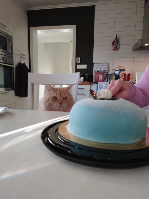 En rödhårig katt som tittar på en blå dessert på ett bord i köket.