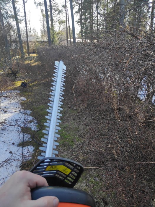 En hand som håller en häcksax framför en nyligen beskuren häck i en bakgård.