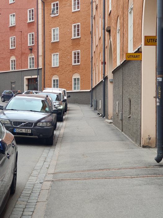 En katt som sitter ensam på en trottoar bredvid parkerade bilar och traditionella stadshus.