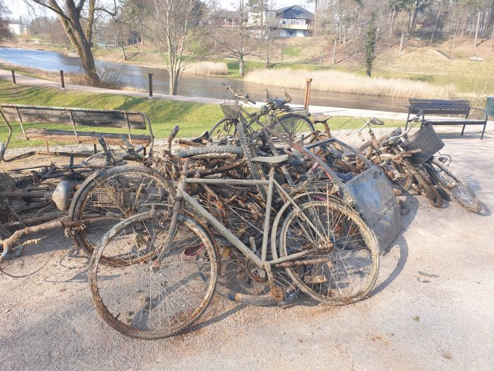 Rostiga cyklar och skräp uppfiskade ur vatten, hopställda på en trottoar nära en park.