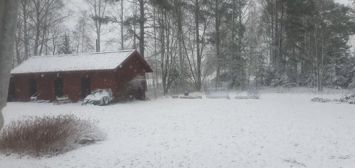 Snötäckt trädgård med ett rött träskjul, buskar och träd i bakgrunden.