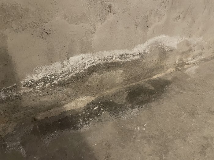 Fuktfläckar och avflagning på källarens yttervägg i äldre hus, indikerar möjlig fuktskada.