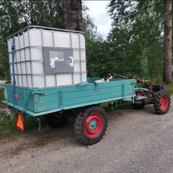 1000 liters IBC-tank monterad på en gammal blå traktorvagn med en hund som sitter i förarsätet.