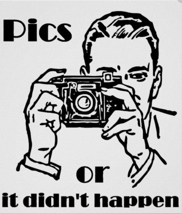 Illustration av en person som tar ett foto med en analog kamera och texten "Pics or it didn't happen".