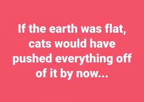 Text på rosa bakgrund: "If the earth was flat, cats would have pushed everything off of it by now...