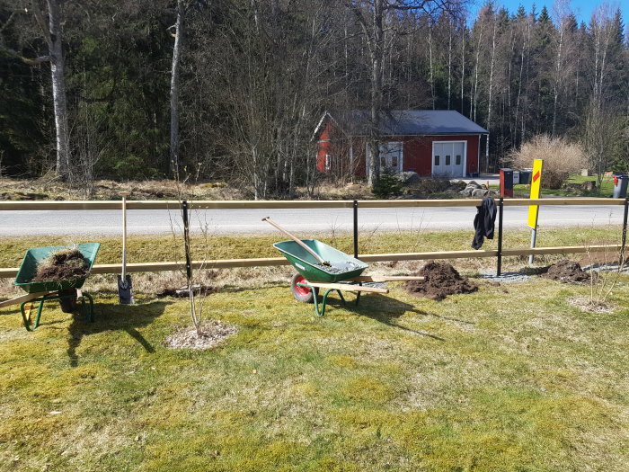 Uppgrävd trädgård med staketstolpar och två skottkärror, en med jord och en tom, bredvid grävverktyg och ett rött hus i bakgrunden.