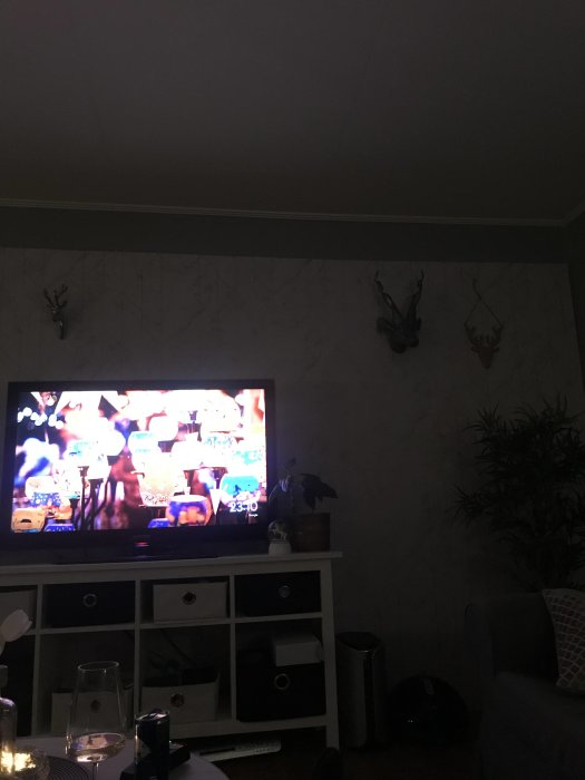 Vardagsrum med TV på och inredningsdetaljer som vägghängda hjorthuvuden och växter.