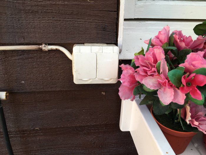 Elektrisk installationsbrytare monterad på trävägg bredvid en kruka med rosa blommor.