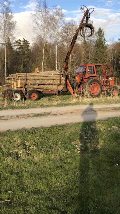 Traktor med skogsvagn full av fällda björkstockar och en synlig kran med nya tätningar.