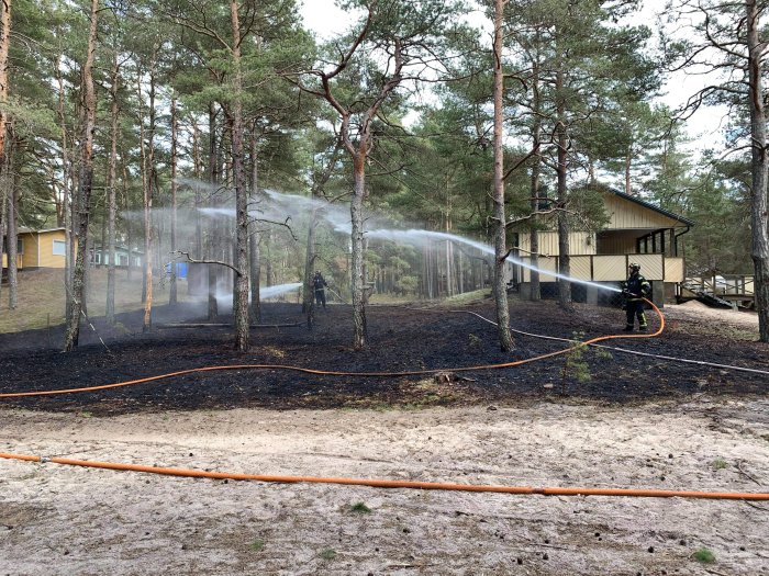 Brandmän släcker eftermarkbrand nära stugor i skogsområde med vattenslangar.