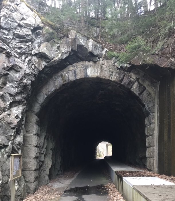 Stenvalvsbro i skogsmiljö med gångväg som leder genom en mörk tunnelöppning.