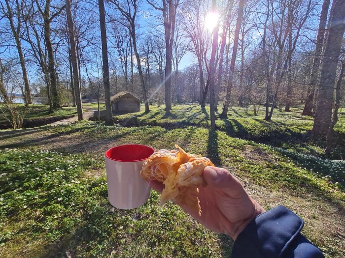 Hand håller wienerbröd med röd kopp i soligt skogsområde med spridda vitsippor.