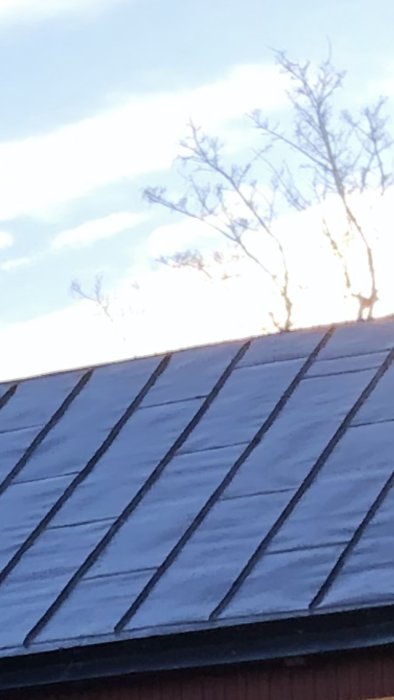 Tak med plåtpaneler och lätt snötäcke mot en bakgrund av träd och himmel.