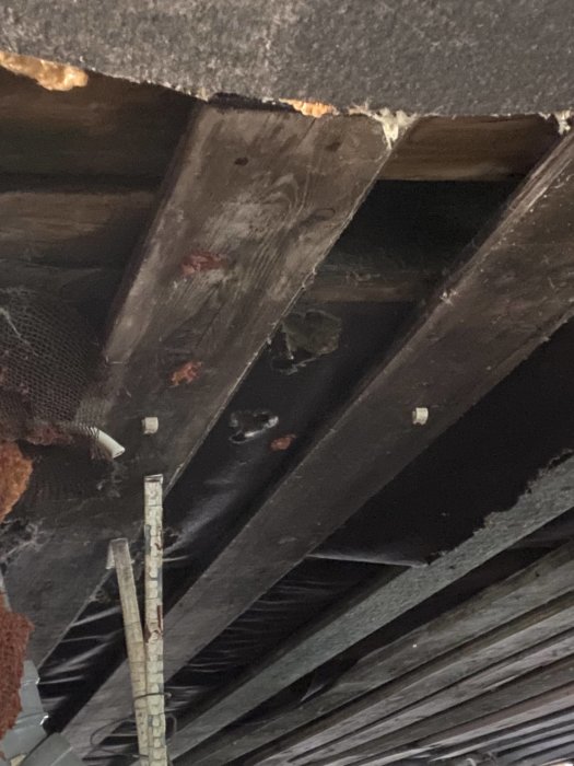 Träbalkar under ett hus med möjliga skador och isolering, synlig i en torpargrund.