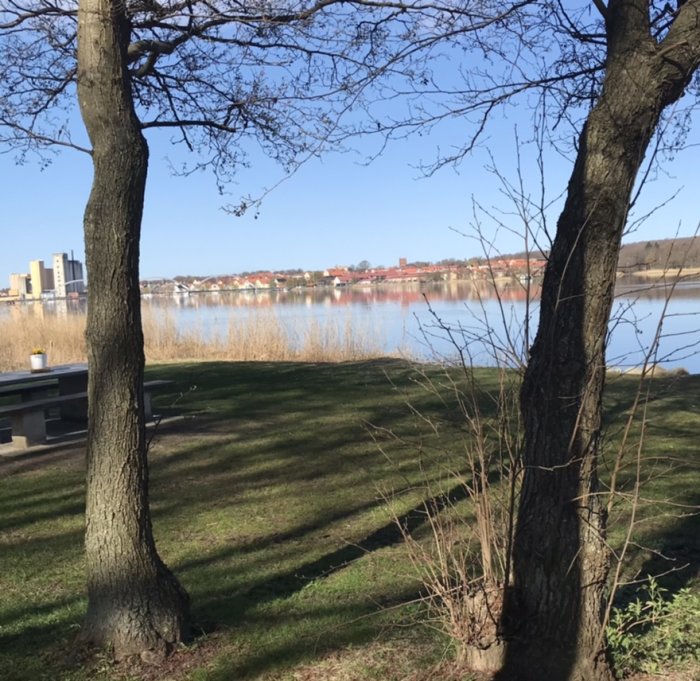 Utsikt över en sjö med träd i förgrunden och byggnader i bakgrunden under en solig dag.