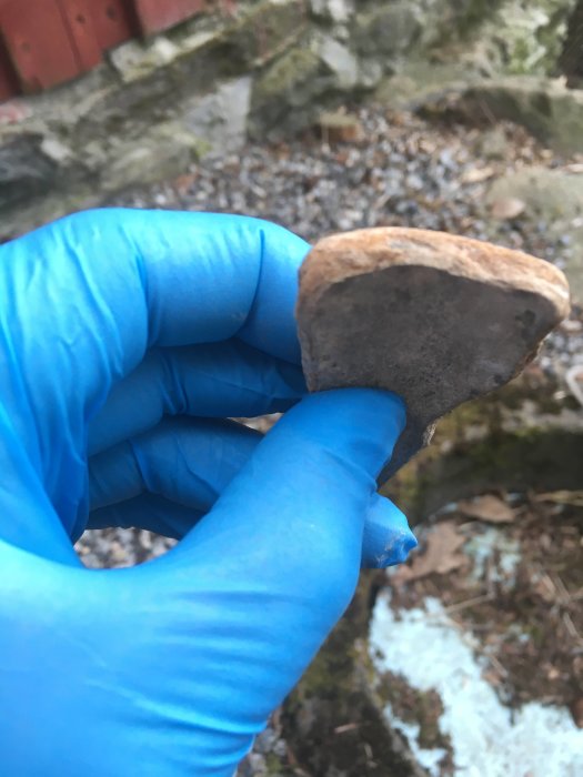 Hand i blå handske håller en brun stenbit mot en suddig bakgrund av naturen.