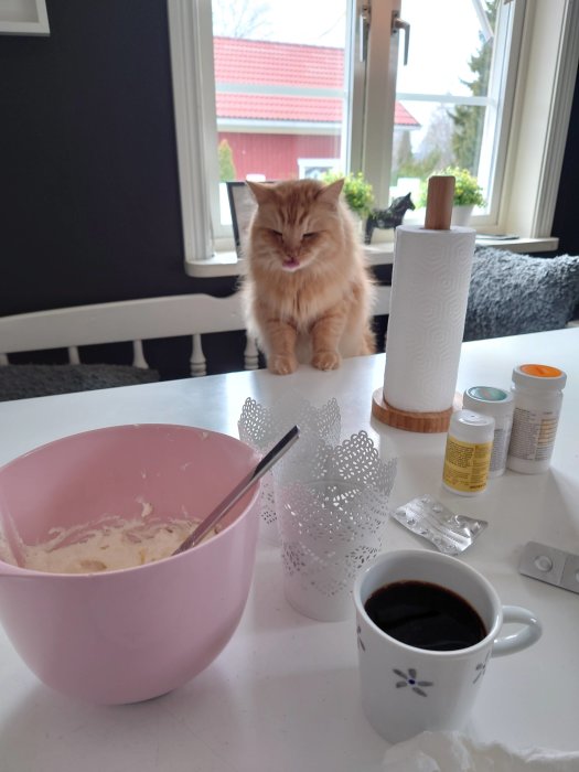 Katt på köksbord intill en skål med vispad grädde, en kaffekopp och köksartiklar.