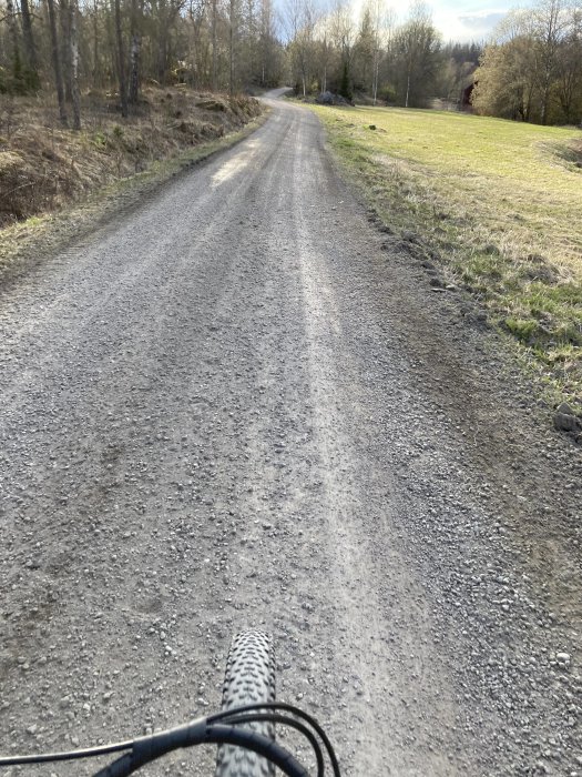 Grusväg omgiven av fält och skog sett från en cyklists perspektiv.